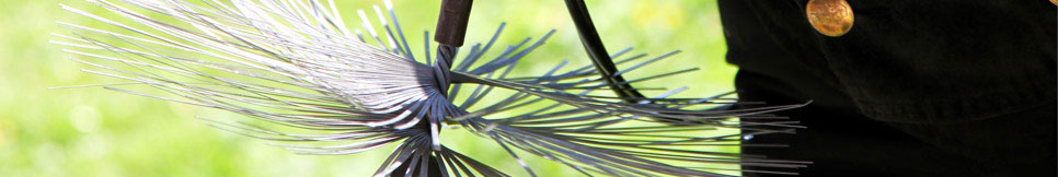 Banner - Lutz Röbke